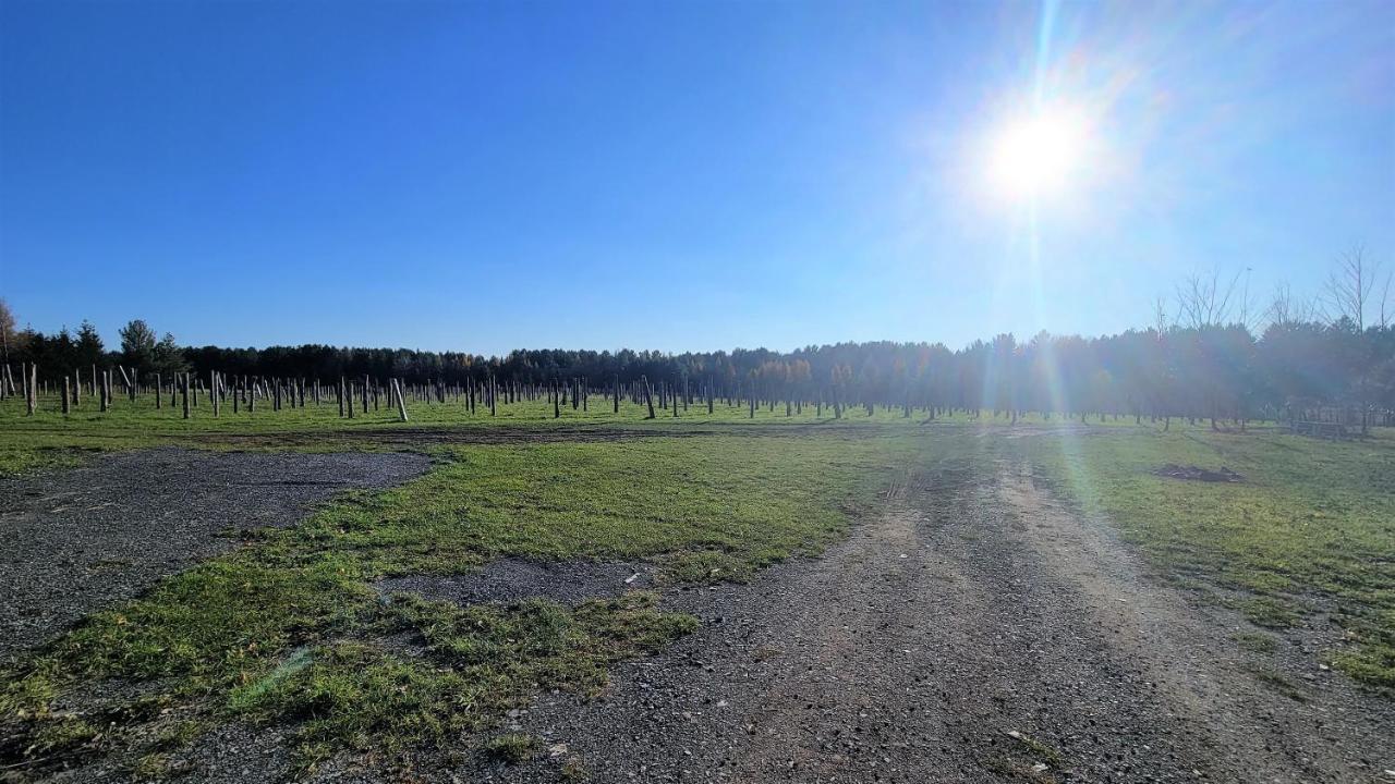 Auberge Du Vignoble Bromont Εξωτερικό φωτογραφία
